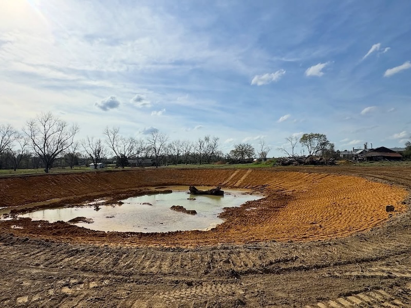 pond